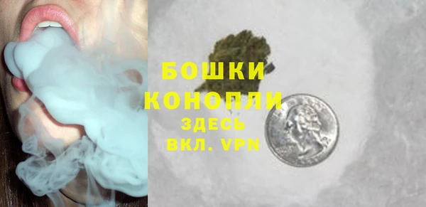 СК Бронницы
