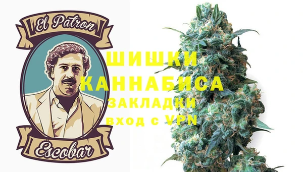 СК Бронницы
