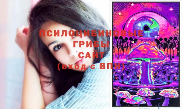 СК Бронницы
