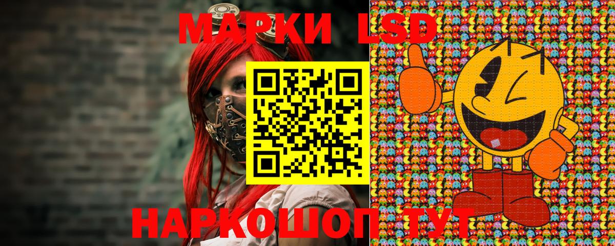 Наркотические марки 1500мкг  Наркотические марки 1500мкг  Горно-Алтайск  Вход с VPN 