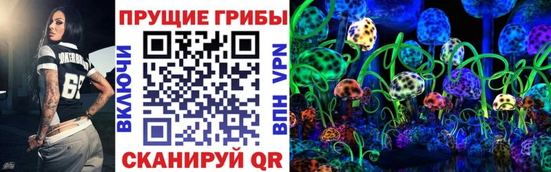 Псилоцибиновые грибы MAGIC MUSHROOMS  Горно-Алтайск 