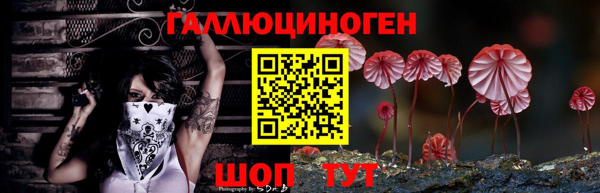 Псилоцибиновые грибы MAGIC MUSHROOMS Горно-Алтайск